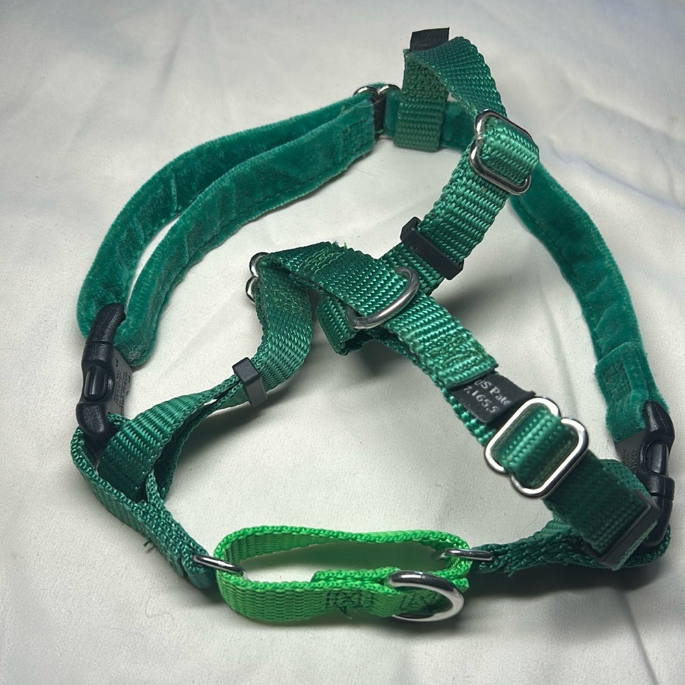 S harness by 2 Hounds Design